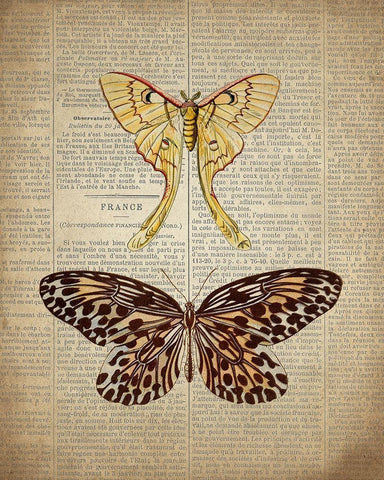 Newspaper Butterfly 1 Black Ornate Wood Framed Art Print with Double Matting by Allen, Kimberly