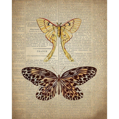 Newspaper Butterfly 1 Gold Ornate Wood Framed Art Print with Double Matting by Allen, Kimberly