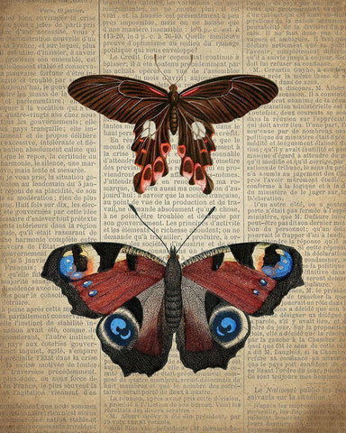 Newspaper Butterfly 2 White Modern Wood Framed Art Print with Double Matting by Allen, Kimberly