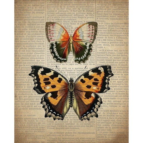 Newspaper Butterfly 3 White Modern Wood Framed Art Print by Allen, Kimberly