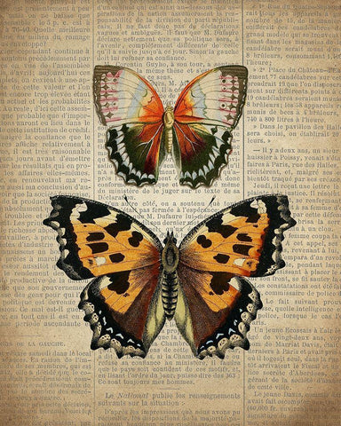 Newspaper Butterfly 3 White Modern Wood Framed Art Print with Double Matting by Allen, Kimberly