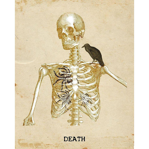 Death Black Modern Wood Framed Art Print with Double Matting by Kimberly, Allen