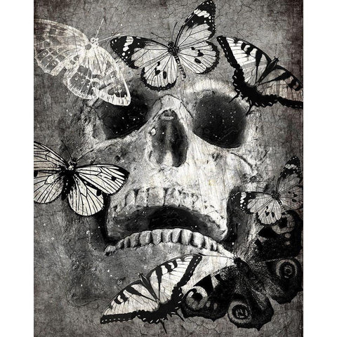 Butterfly Skull Black Modern Wood Framed Art Print with Double Matting by Kimberly, Allen