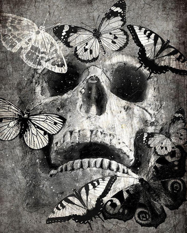 Butterfly Skull Black Ornate Wood Framed Art Print with Double Matting by Kimberly, Allen