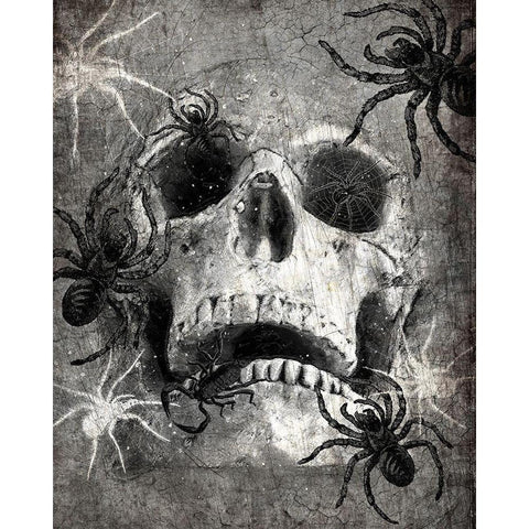 Spider  Skull Black Modern Wood Framed Art Print with Double Matting by Kimberly, Allen