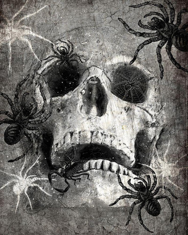 Spider  Skull Black Ornate Wood Framed Art Print with Double Matting by Kimberly, Allen