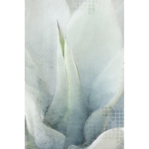 Agave 1 White Modern Wood Framed Art Print by Kimberly, Allen