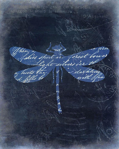 Dragonfly Blue 2 Black Ornate Wood Framed Art Print with Double Matting by Allen, Kimberly