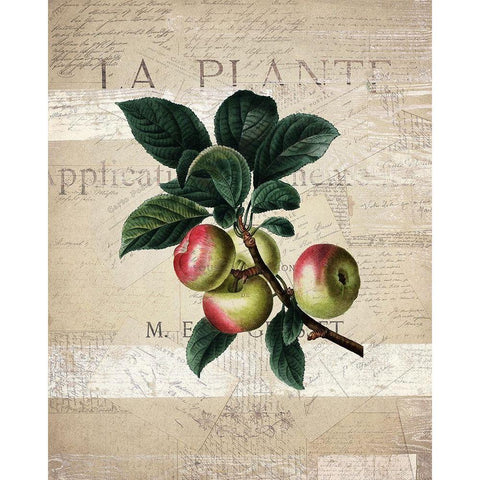 Fruit 1 Gold Ornate Wood Framed Art Print with Double Matting by Kimberly, Allen