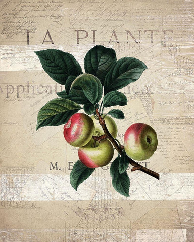 Fruit 1 Black Ornate Wood Framed Art Print with Double Matting by Kimberly, Allen