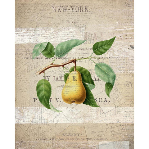 Fruit 2 Black Modern Wood Framed Art Print by Kimberly, Allen