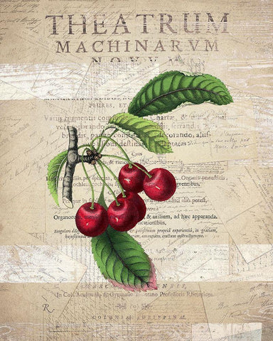 Fruit 3 White Modern Wood Framed Art Print with Double Matting by Kimberly, Allen