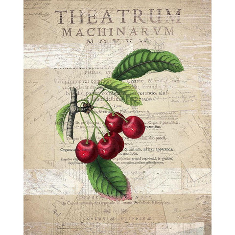 Fruit 3 Black Modern Wood Framed Art Print with Double Matting by Kimberly, Allen