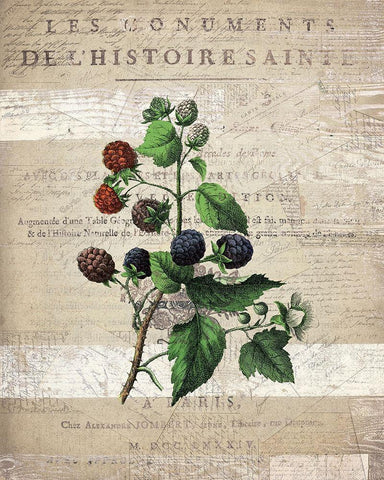 Fruit 4 Black Ornate Wood Framed Art Print with Double Matting by Kimberly, Allen