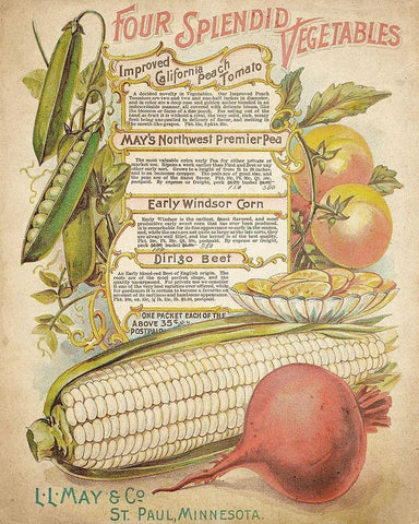Splendid Vegetables White Modern Wood Framed Art Print with Double Matting by Kimberly, Allen