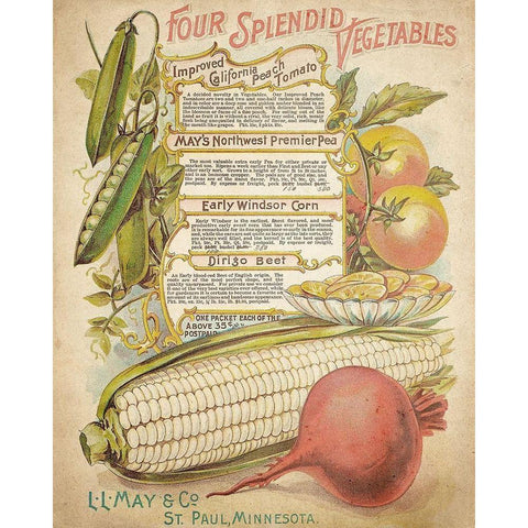 Splendid Vegetables Gold Ornate Wood Framed Art Print with Double Matting by Kimberly, Allen