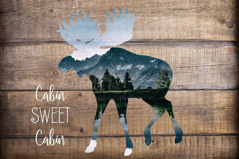 Cabin Sweet Cabin White Modern Wood Framed Art Print with Double Matting by Kimberly, Allen