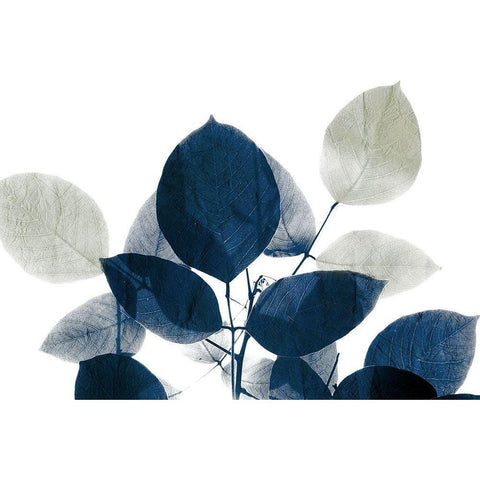 Midnight Leaves 1a Black Modern Wood Framed Art Print by Allen, Kimberly