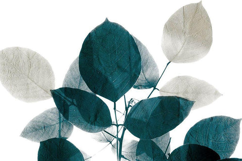 Midnight Leaves 1 White Modern Wood Framed Art Print with Double Matting by Allen, Kimberly