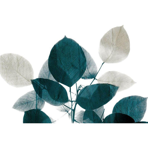Midnight Leaves 1 Black Modern Wood Framed Art Print by Allen, Kimberly