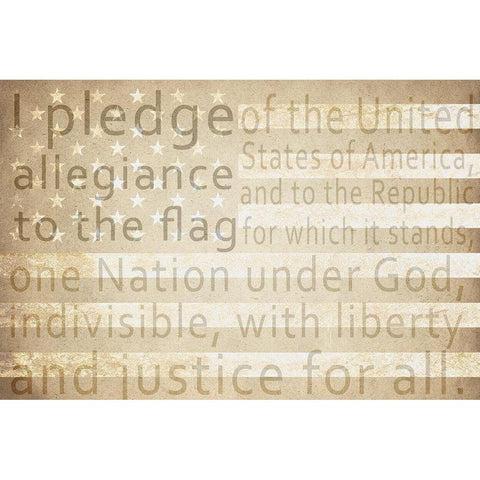 Pledge of Allegiance Black Modern Wood Framed Art Print with Double Matting by Kimberly, Allen