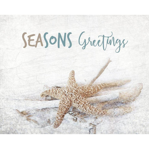 Seasons Greetings White Modern Wood Framed Art Print by Kimberly, Allen