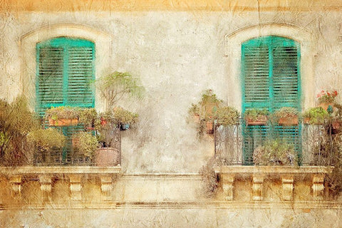 From the Balcony Black Ornate Wood Framed Art Print with Double Matting by Kimberly, Allen