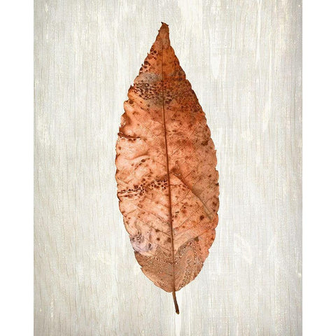 Copper Leaves 1 White Modern Wood Framed Art Print by Kimberly, Allen