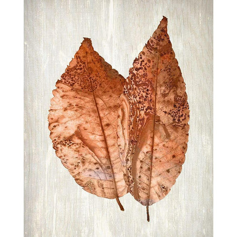 Copper Leaves 2 White Modern Wood Framed Art Print by Kimberly, Allen