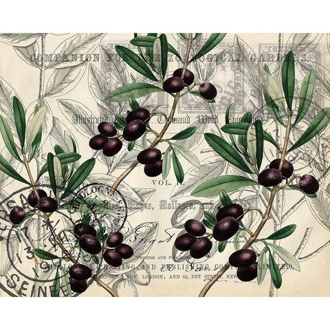 Olive Branches Gold Ornate Wood Framed Art Print with Double Matting by Kimberly, Allen