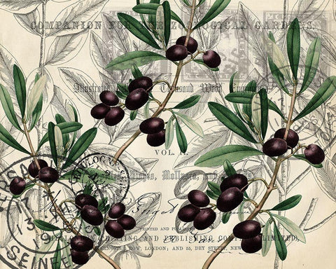 Olive Branches White Modern Wood Framed Art Print with Double Matting by Kimberly, Allen