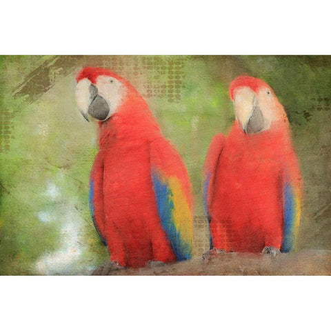 Best Friends  Black Modern Wood Framed Art Print by Kimberly, Allen
