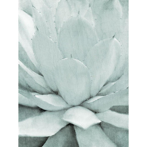 Agave I White Modern Wood Framed Art Print by Kimberly, Allen