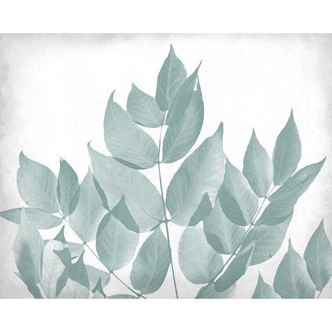 Antiqued Leaves 1 Black Modern Wood Framed Art Print with Double Matting by Kimberly, Allen