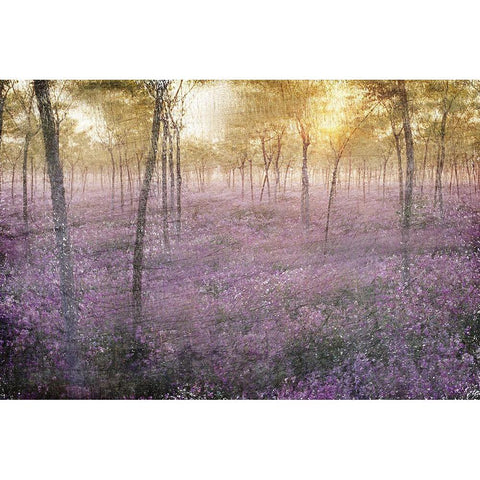 The Grove Black Modern Wood Framed Art Print with Double Matting by Kimberly, Allen
