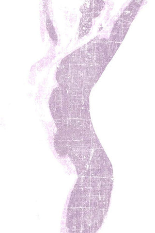 Violet Silhouette 2 Black Ornate Wood Framed Art Print with Double Matting by Kimberly, Allen