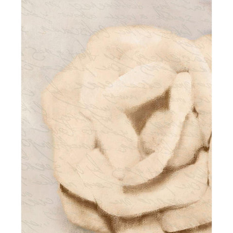 Natural 2 White Modern Wood Framed Art Print by Kimberly, Allen