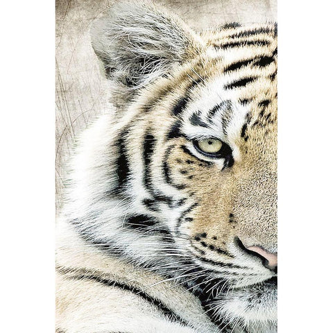 Concentration A White Modern Wood Framed Art Print by Kimberly, Allen