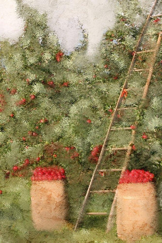 Country Fall 3 Black Ornate Wood Framed Art Print with Double Matting by Kimberly, Allen