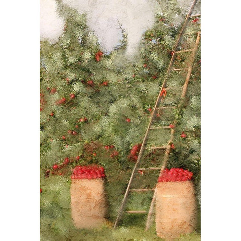 Country Fall 3 White Modern Wood Framed Art Print by Kimberly, Allen