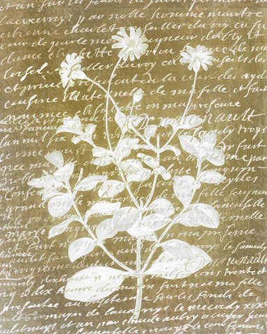 Notes on Floral 1 Black Ornate Wood Framed Art Print with Double Matting by Kimberly, Allen