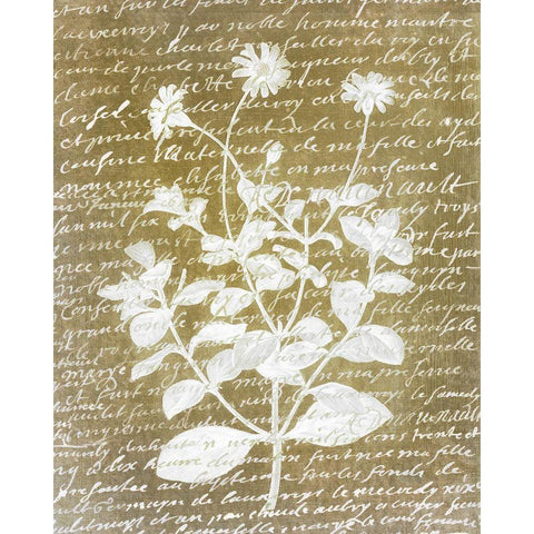 Notes on Floral 1 Black Modern Wood Framed Art Print by Kimberly, Allen