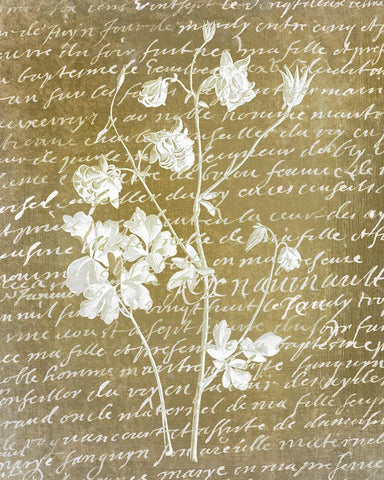 Notes on Floral 2  White Modern Wood Framed Art Print with Double Matting by Kimberly, Allen