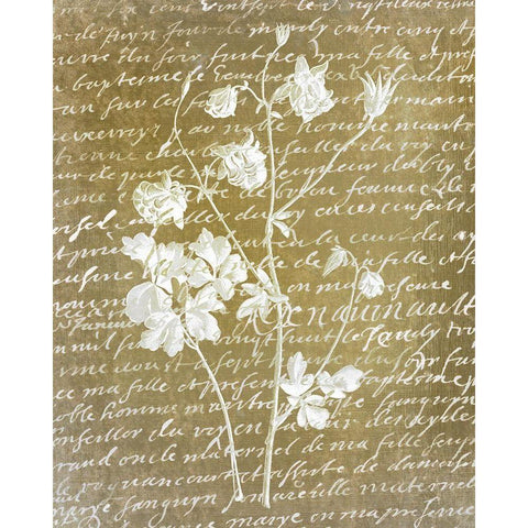 Notes on Floral 2  Black Modern Wood Framed Art Print by Kimberly, Allen