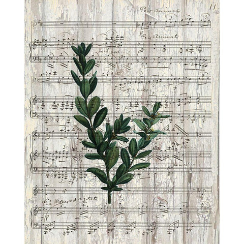 Musical Botanical 1 Gold Ornate Wood Framed Art Print with Double Matting by Kimberly, Allen