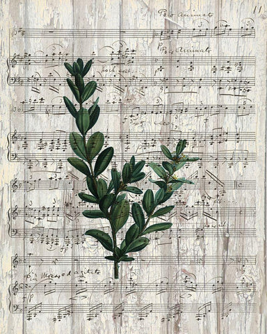 Musical Botanical 1 White Modern Wood Framed Art Print with Double Matting by Kimberly, Allen