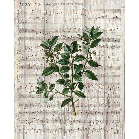 Musical Botanical 2 White Modern Wood Framed Art Print by Kimberly, Allen