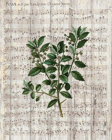 Musical Botanical 2 Black Ornate Wood Framed Art Print with Double Matting by Kimberly, Allen