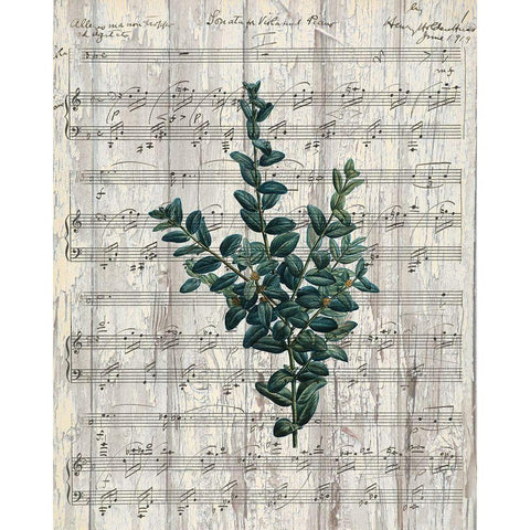 Musical Botanical 3 Gold Ornate Wood Framed Art Print with Double Matting by Kimberly, Allen