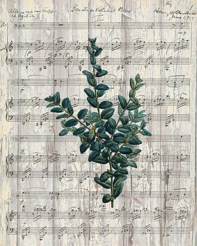 Musical Botanical 3 Black Ornate Wood Framed Art Print with Double Matting by Kimberly, Allen